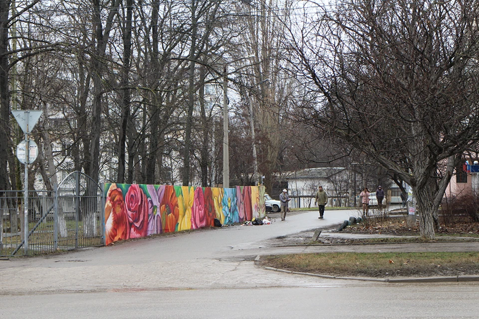В январе прямо на серой городской улице неожиданно расцвел забор.