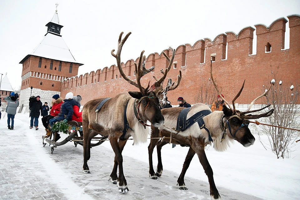 Тула. Катание на оленьих упряжках у стен Тульского Кремля.