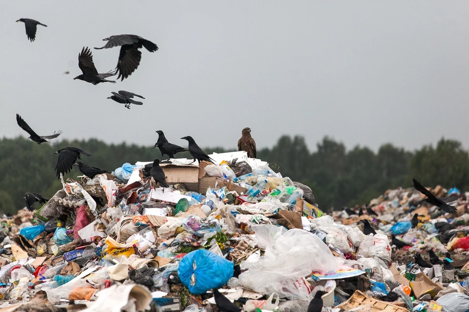 Ежегодно на территории Российской Федерации образуется более 7 млрд. тонн отходов, из которых используется около 2 млрд. тонн, или 28,5 %. На свалках, полигонах принадлежащих предприятиям, накоплено свыше 2 млрд. тонн опасных отходов