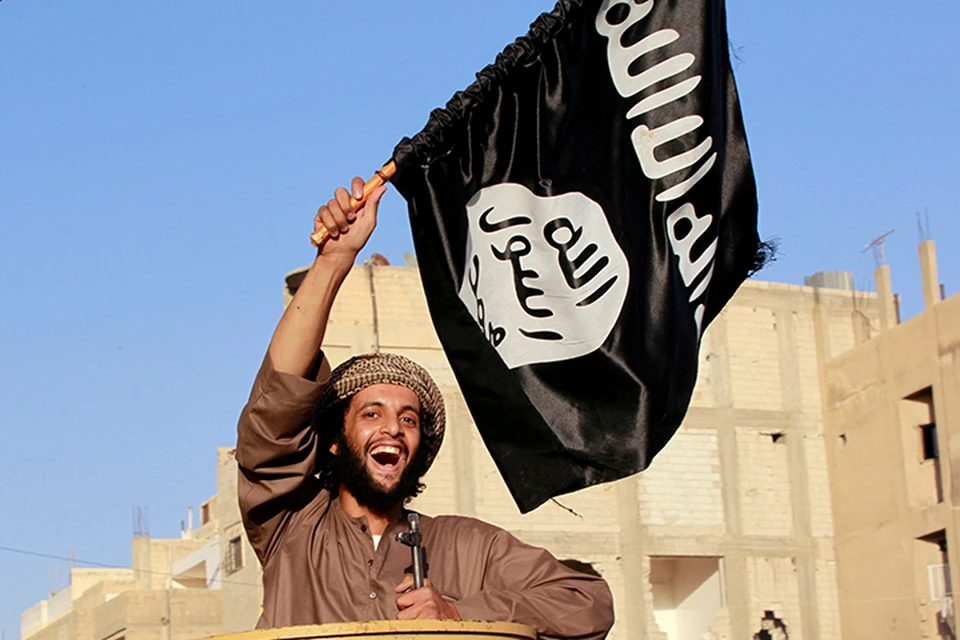 Идет зачистка последнего оплота «Исламского государства» (Террористическая организация, запрещенная в РФ) в Сирии