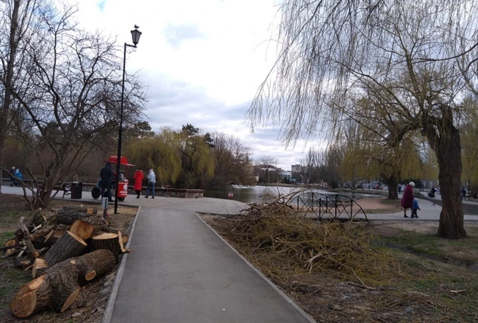 Гагаринский парк больше похож на лесопилку, чем на место отдыха.