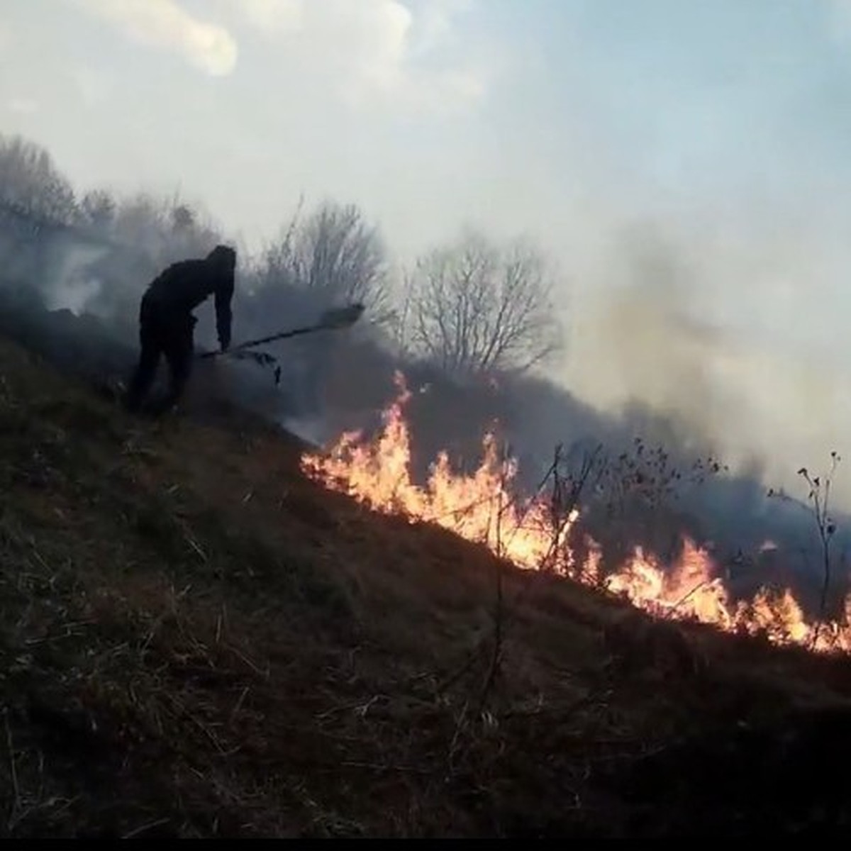 Против огня с ведром и лопатой: кузбассовцы спасли деревню от лесного  пожара - KP.RU