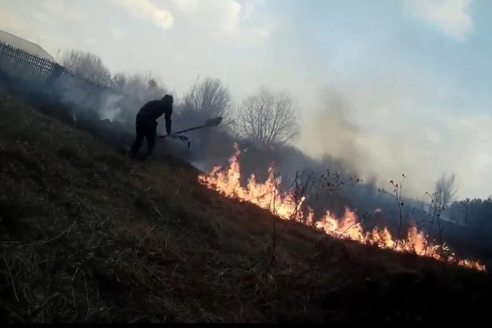 Против огня с лапником и лопатой: Кузбассовцы спасли деревню от лесного пожара. ФОТО: кадр видео Романа Жатова.