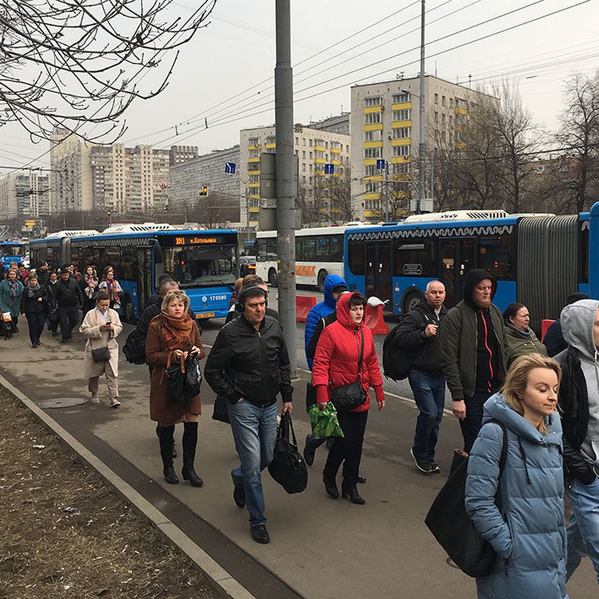 В Москве изменятся автобусные маршруты сразу в девяти округах - KP.RU