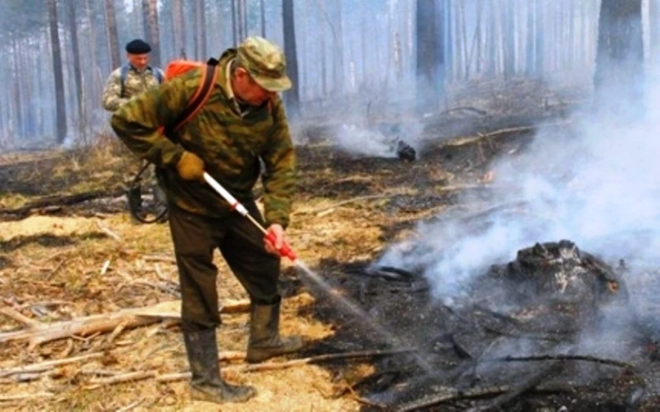 Лесных пожарных оснастят спецтехникой