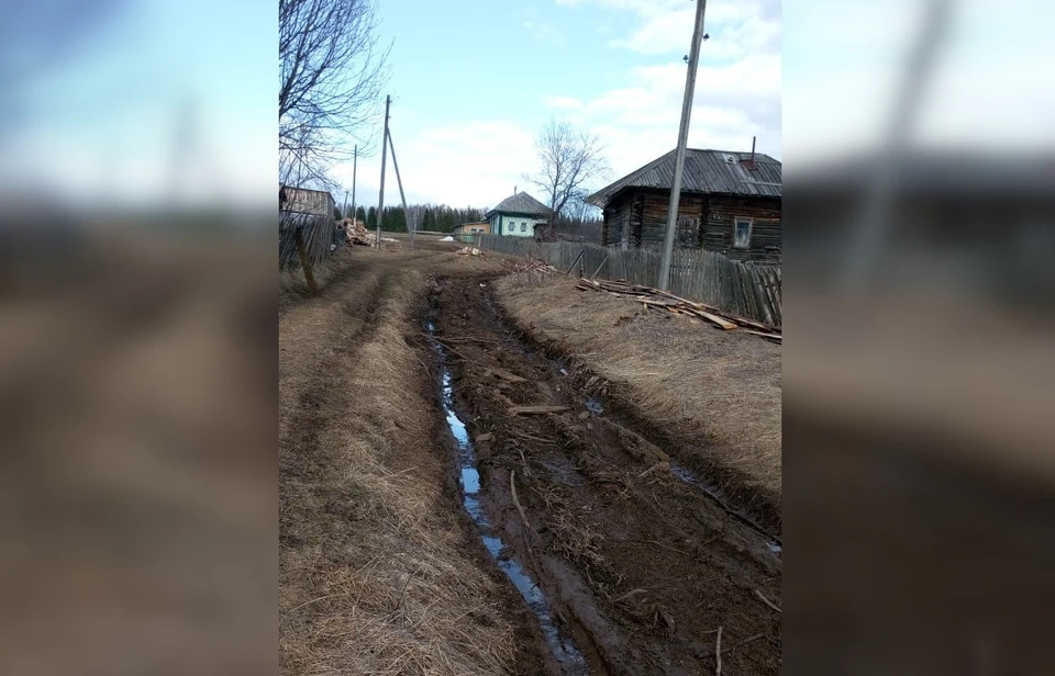 Фото дороги. Предоставил Василий Ярков