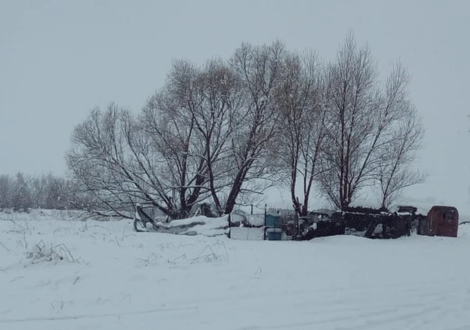 Село Топчиха засыпало снегом в конце апреля/Фото: Максим Путилин