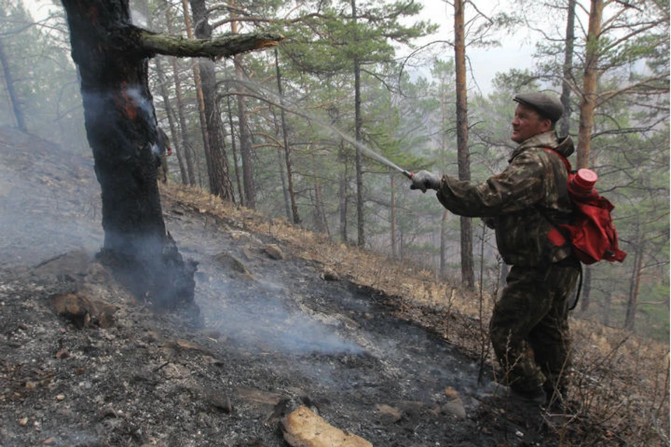 Лесные пожары в Иркутской области: помогают или мешают добровольцы тушить огонь
