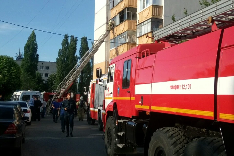 Фото пресс-службы Главного управления МЧС России по Белгородской области.