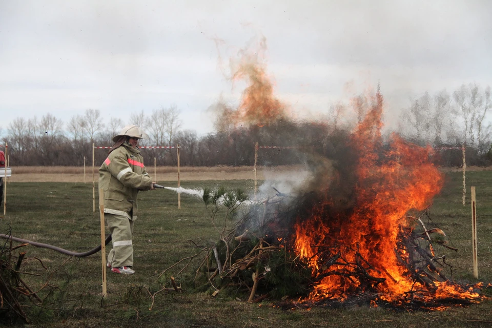 Журналисты на практике тушат лесной пожар (фото: Ярослав Махначев)