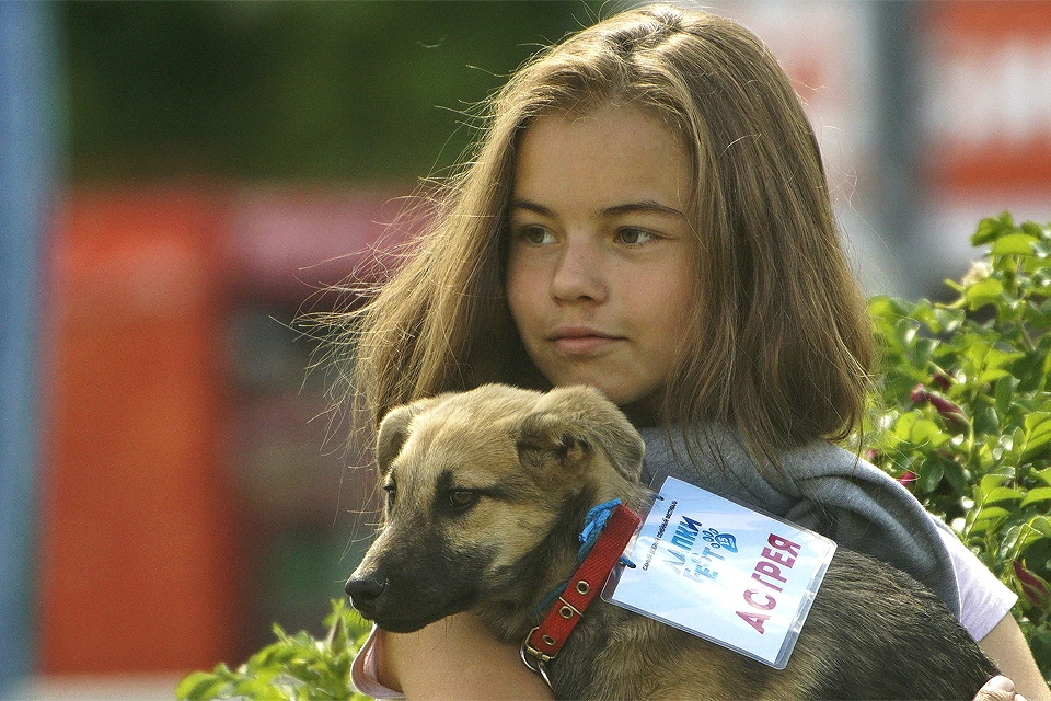 Выставка фотографий в московских парках должна помочь приютским собакам найти заботливых хозяев.