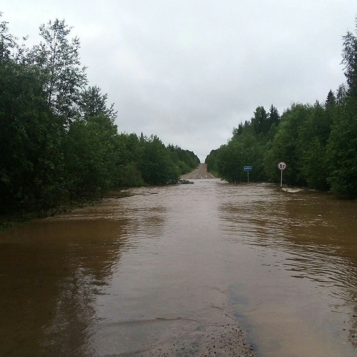 В Усть-Куломском районе грозы и ливни вызвали подтопление дорог и жилых  домов - KP.RU