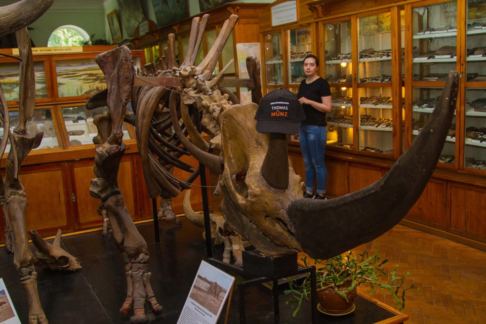 Фото из музея палеонтологии, расположенного на территории Томского государственного университета.