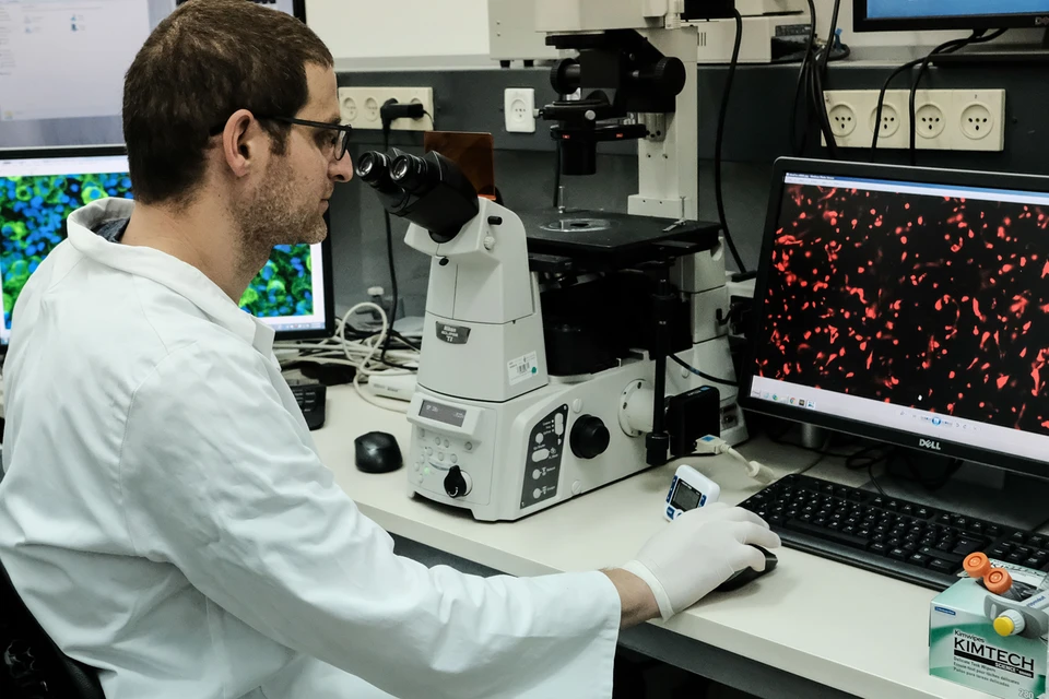 Пристальный интерес у ученых и врачей, которые изучают рассеянный склероз, сейчас вызывает микрофлора кишечника