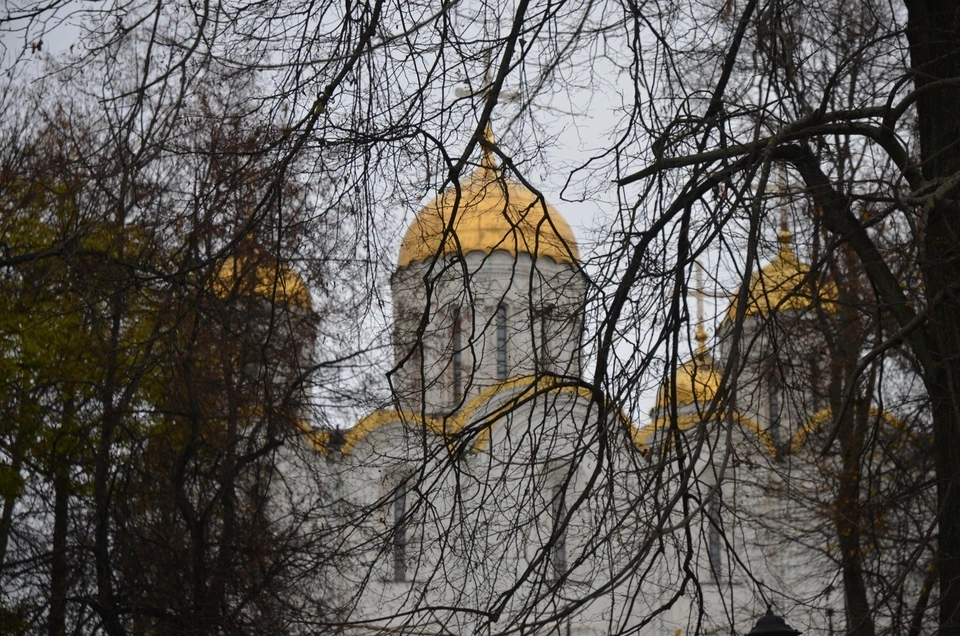 Купола Успенского собора