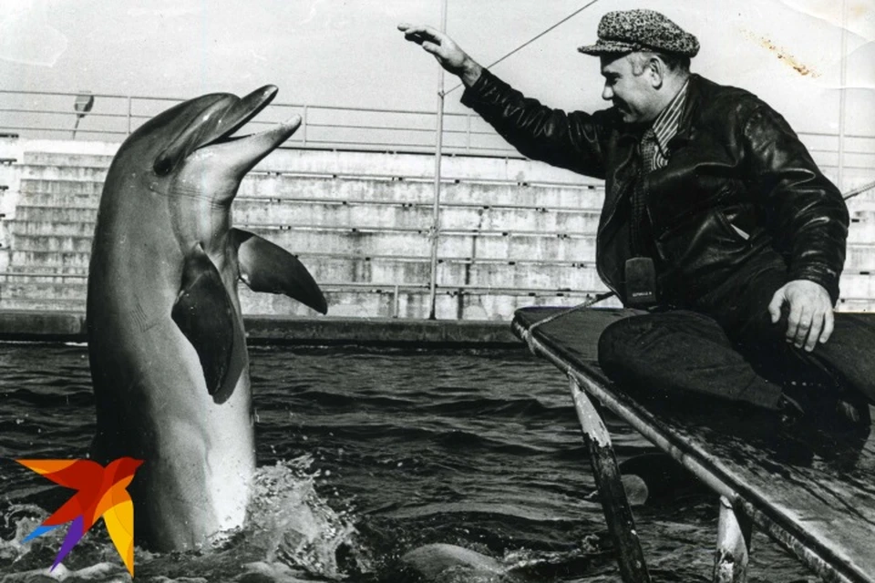 Василий Песков с дельфином.