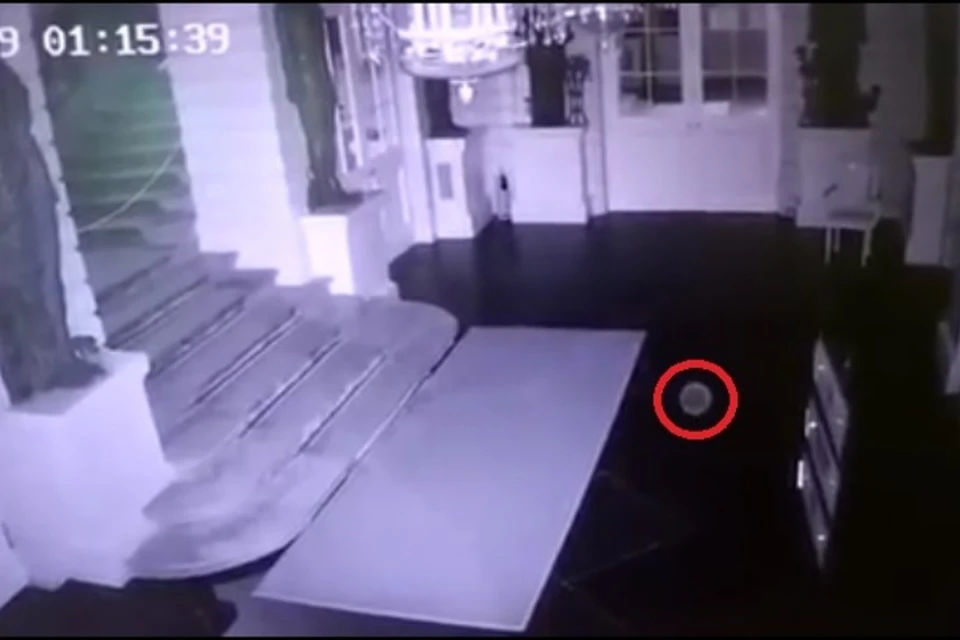 В ту ночь объект появлялся дважды и каждый раз - в одном и том же зале. Фото: Instagram ГМЗ "Павловск"