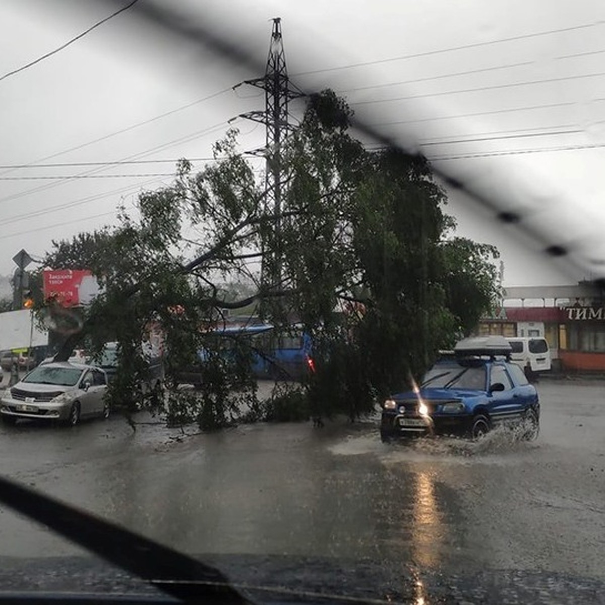 Тайфун пришел во Владивосток на день раньше: улицы под водой, деревья падают  на авто - KP.RU