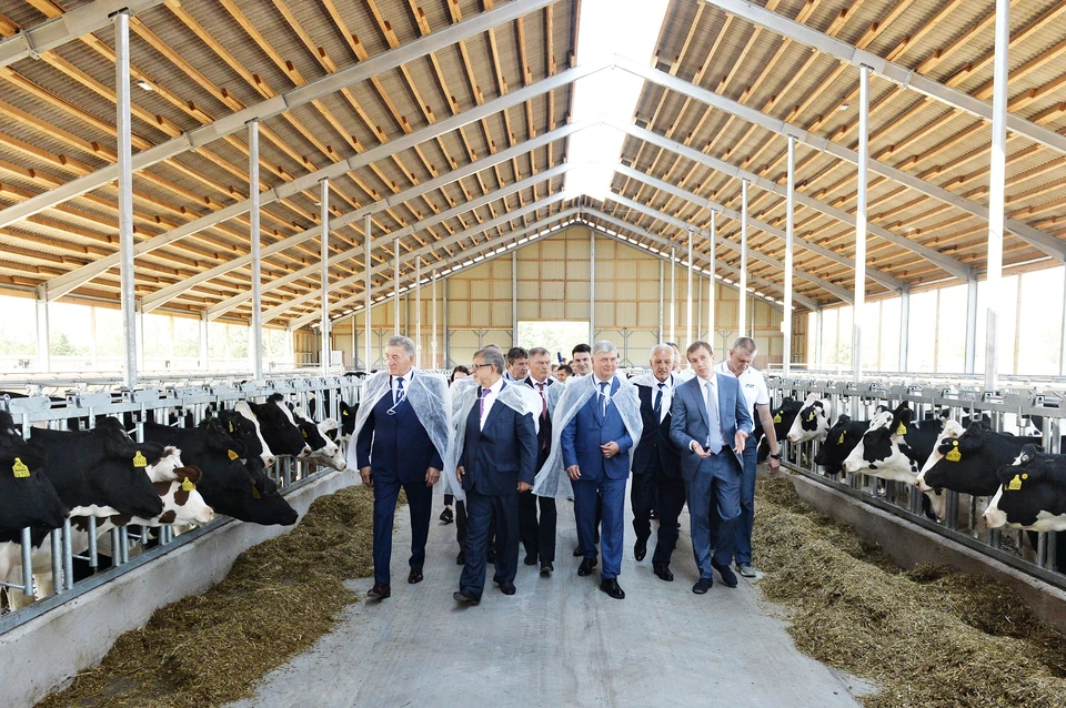 Глава региона посетил новый молочный комплекс в селе Старая Чигла.