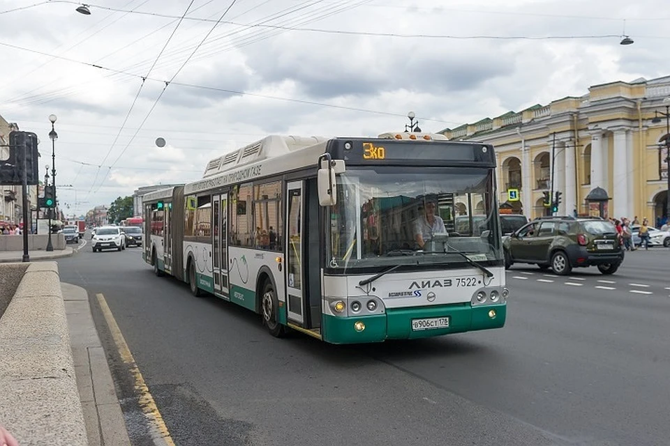 Ночные автобусы в Петербурге могут начать ходить по будням