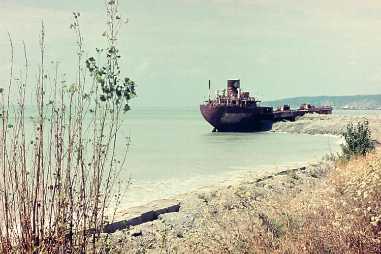 Останки знаменитого танкера «Руссильон» уберут из акватории Черного моря