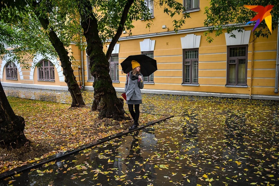 Прекрасная золотая осень пришла в Тверскую область. Конечно, немного дождит, но как без этого?