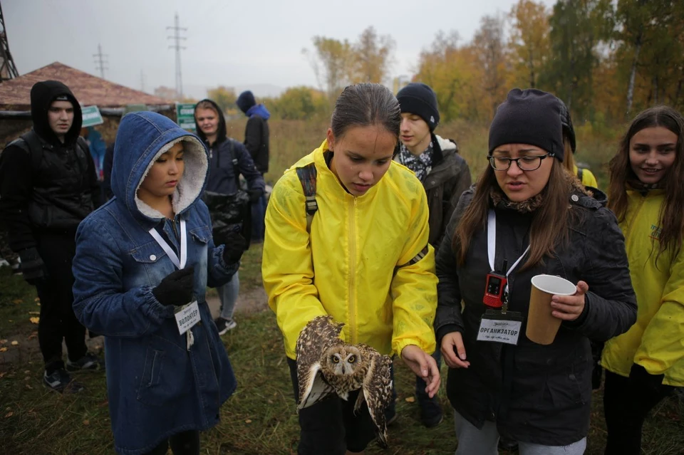 В Красноярске школьница спасла сову с переломанным крылом