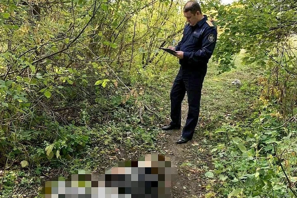 Тело мужчины нашли рядом с кладбищем. Фото СУ СКР по Саратовской области
