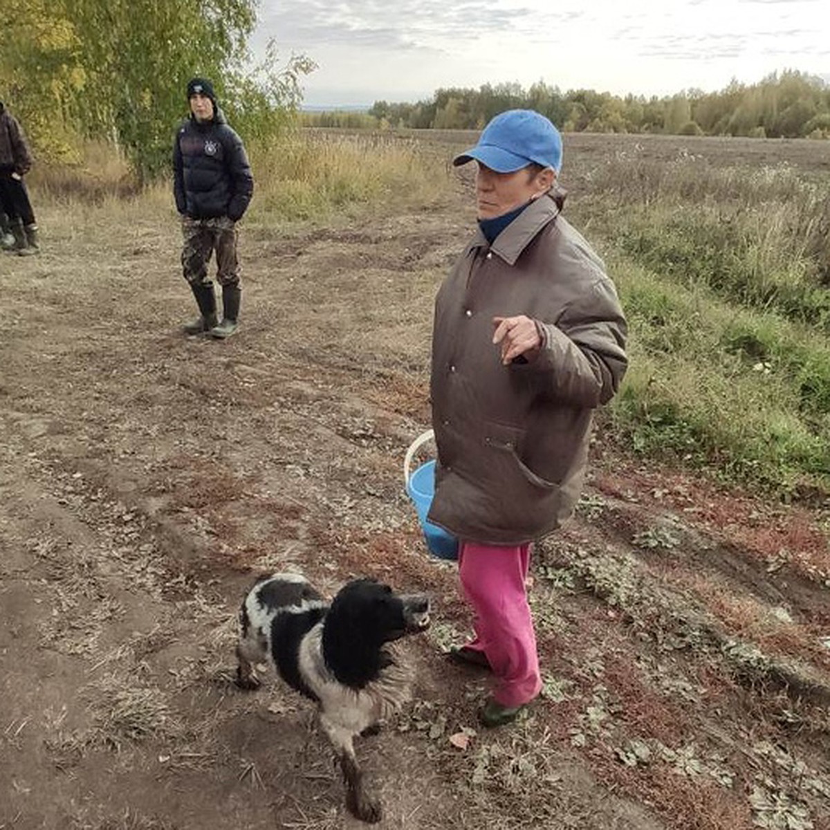 Ушел на 15 минут, и мама пропала»: 75-летняя женщина всю ночь бродила по  лесу одна - KP.RU