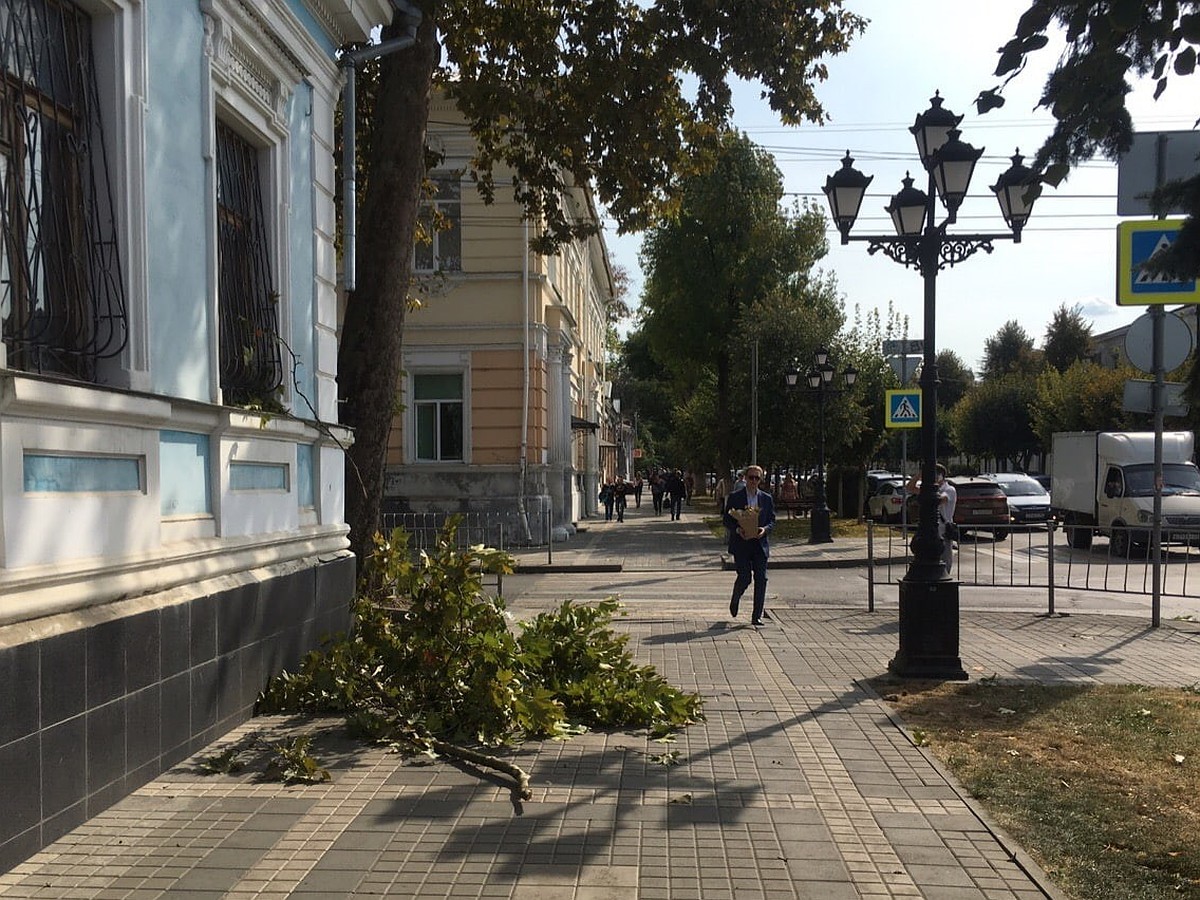 Кара небесная? Упавшая ветка в центре Симферополя разбила голову ребенку -  KP.RU