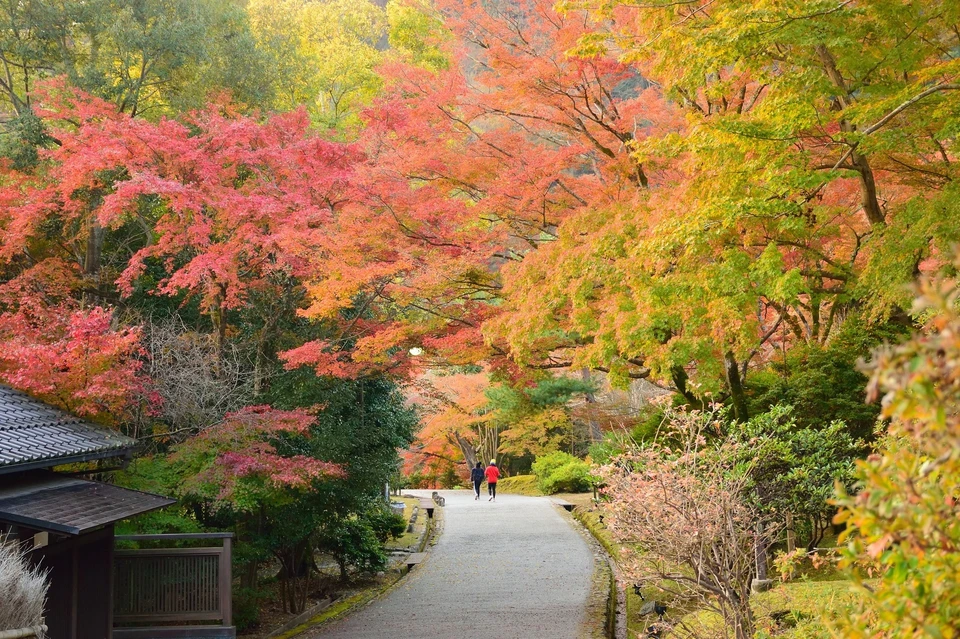 Фото: pixabay.com