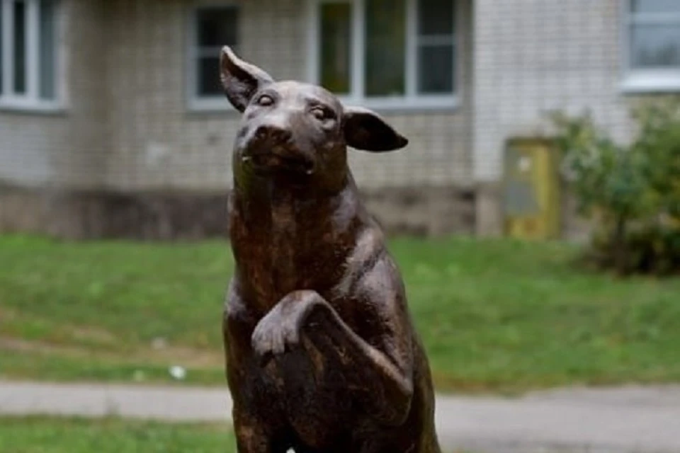 В Новой Ладоге местные жители увековечили память бездомного пса Юрика