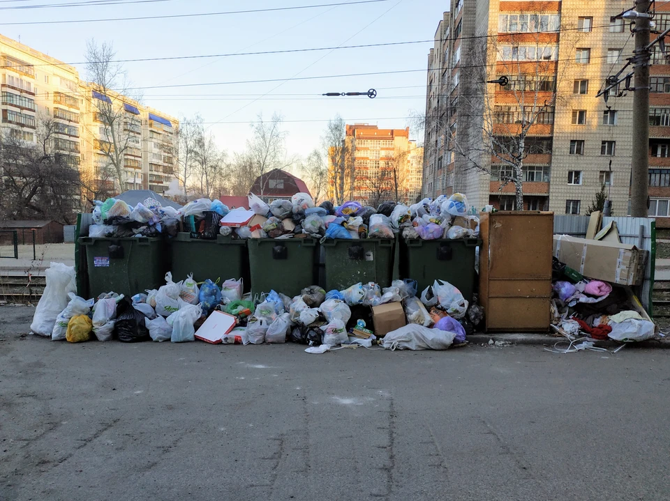 Мусорная свалка стала главным фотообъектом у местных жителей