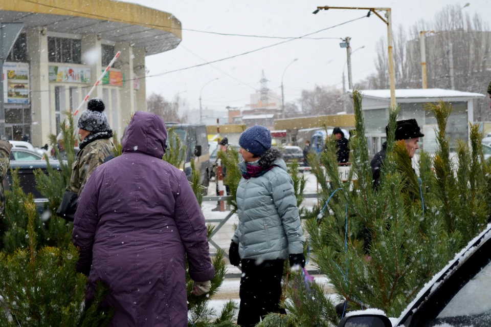 Елочные базары в Липецке откроются 20 декабря