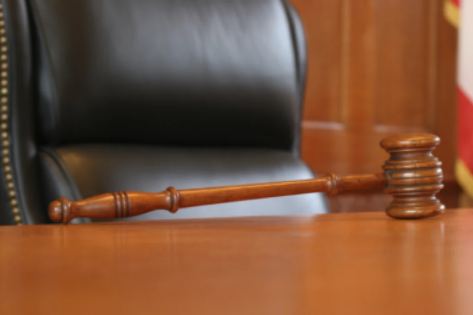 Суд назначил подсудимому наказание в виде 20 лет 20 дней лишения свободы с отбыванием в исправительной колонии строгого режима
