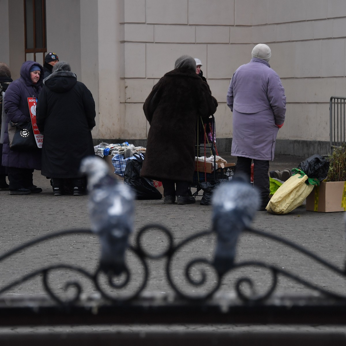 Самозанятые в Петербурге: Эксперты не ожидают от налогового эксперимента в  регионе ничего хорошего - KP.RU