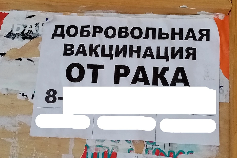 В Новосибирске и Бердске появились объявления с подозрительным содержанием. Фото: читатели КП-Новосибирск