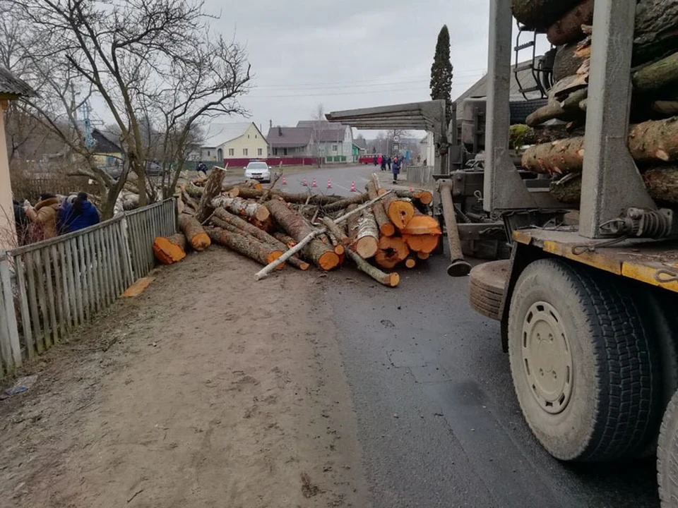 В ДТП с лесовозом в Ружанах погибли 45-летняя женщина и 6-месячная девочка. Фото: МВД