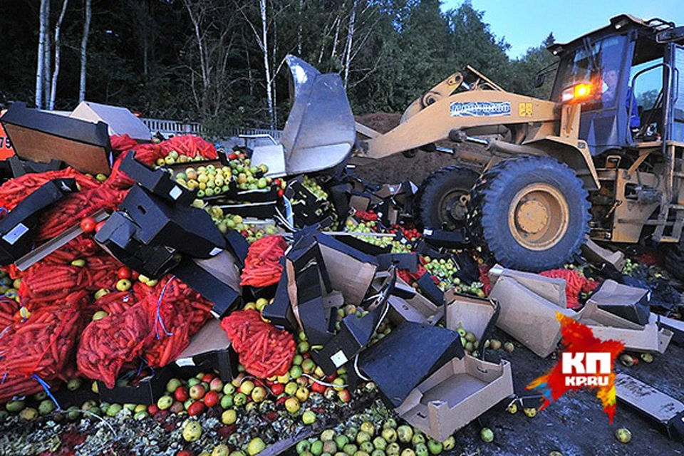Один из самых ярких образов контрсанкций - уничтожение продуктов бульдозерами.