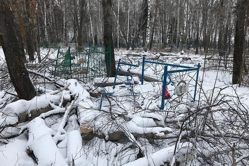 Фото: соцсети