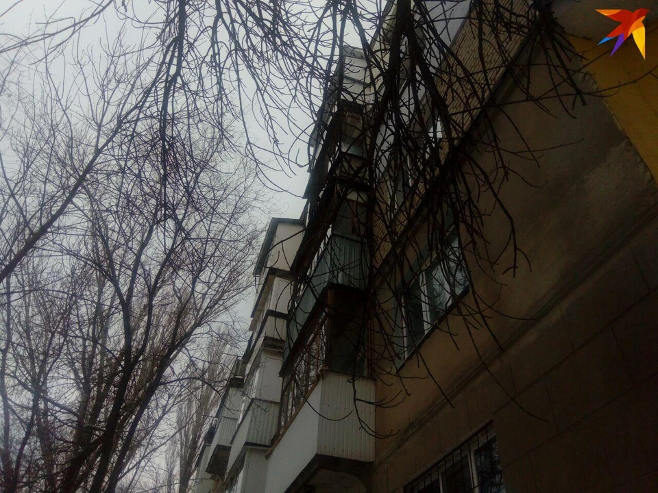 С крыши дома на Вишневой рухнула глыба льда