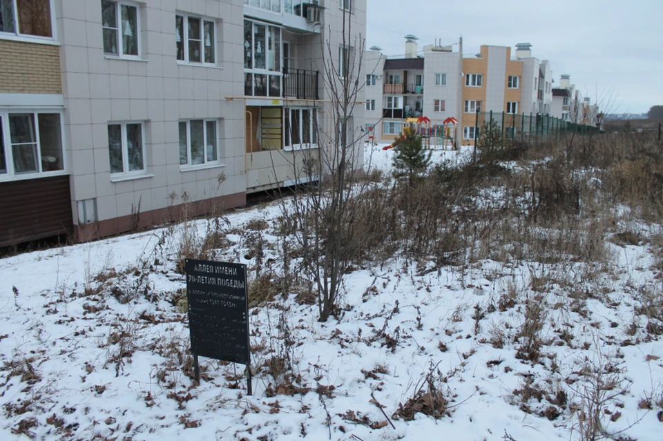 Фото: Общероссийский народный фронт в Тульской области