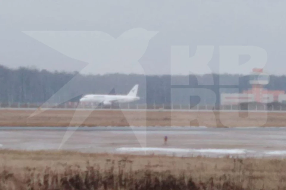 Росавиация уже начала расследование инцидента с посадкой Sukhoi Superjet 100 в «Домодедово».