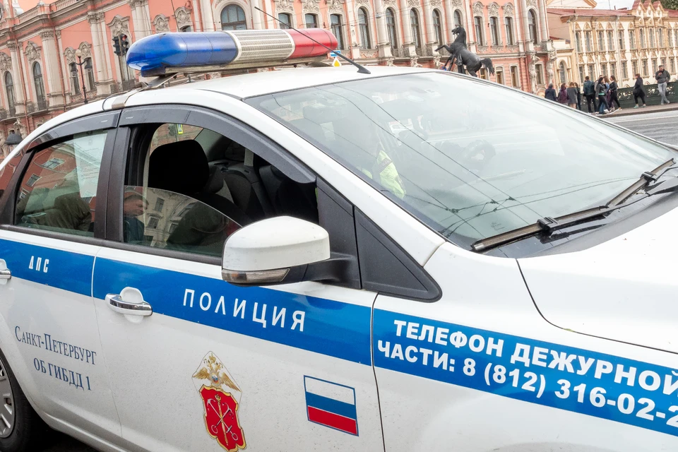 За 15 дней января в Петербурге и области погибли 18 пешеходов.