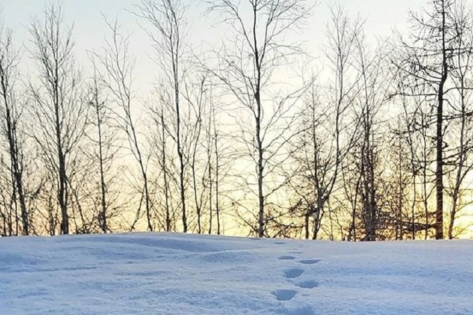 Погода на Ямале 19 января: пришли Крещенские морозы. Фото из группы "Надым" во "ВКонтакте"