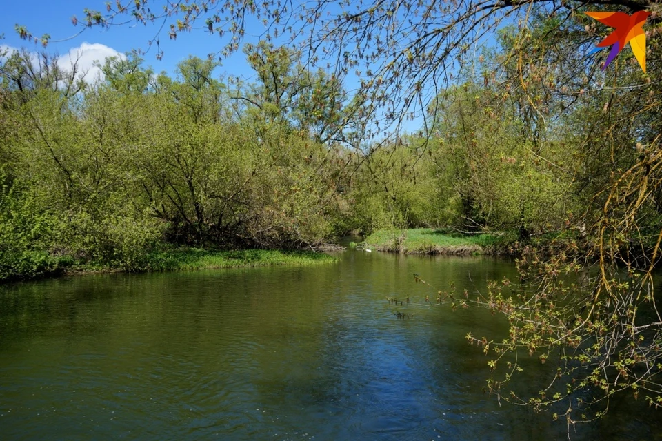 В Орловской области проведут экологическую реабилитацию реки Сосна