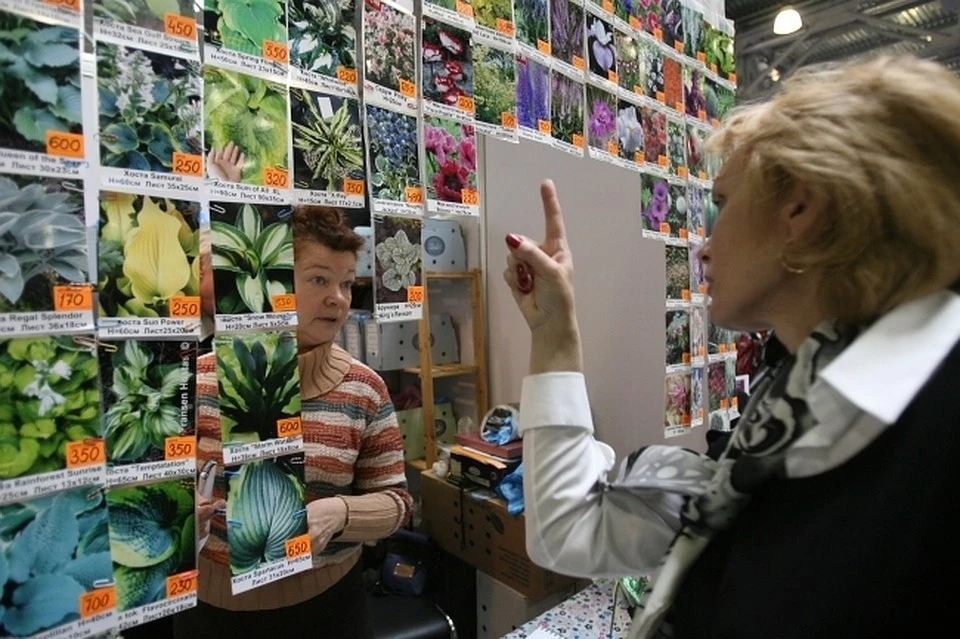 На рынках в Тверской области продавцы семян нарушали законодательство