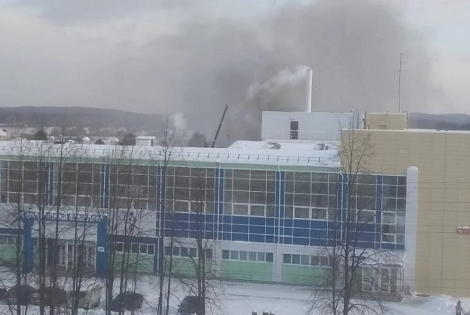 Фото: читатель "КП"