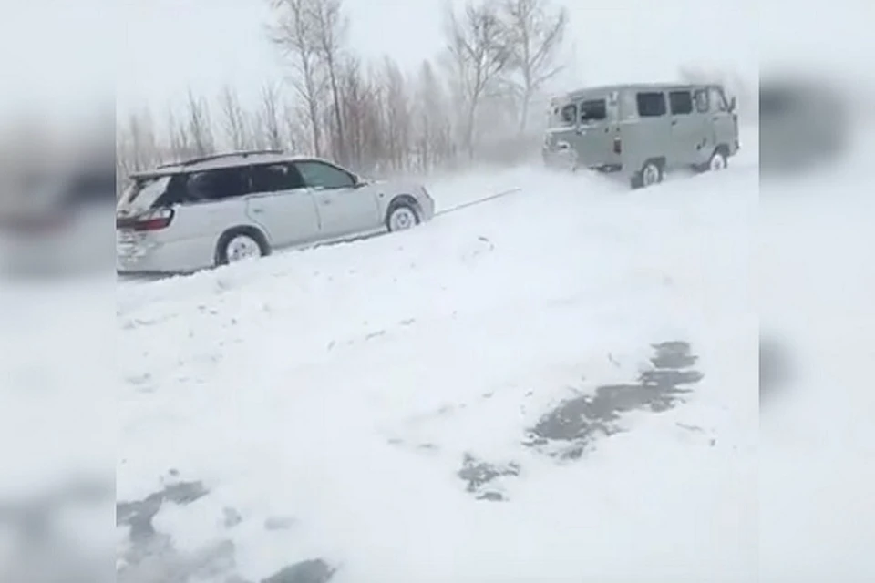 Без взаимовыручки никуда. Фото: стоп-кадр