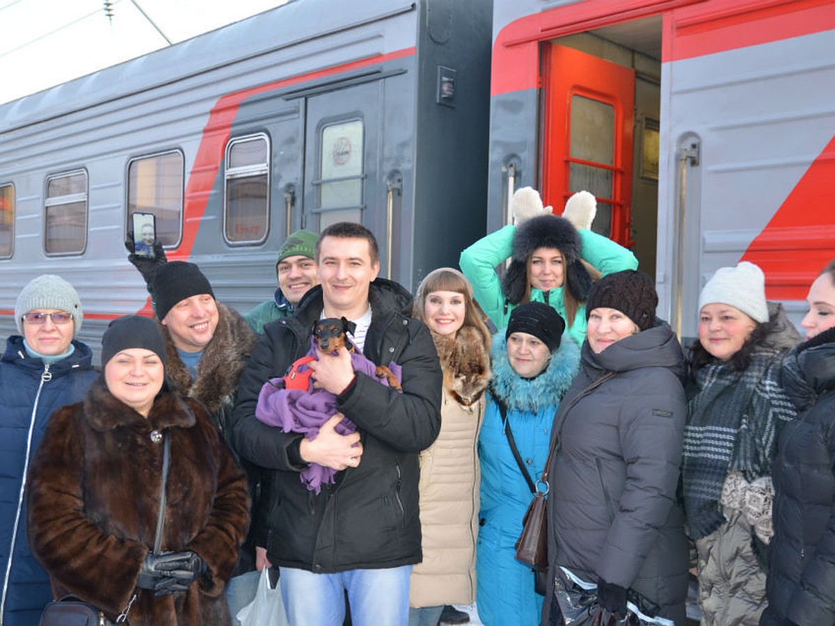 Пропавшую в Петрозаводске собаку из Мурманска искали сотни людей, а нашла  дворняжка - KP.RU